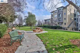1315 Alma Ave, Walnut Creek, CA 94596 - Photo 35