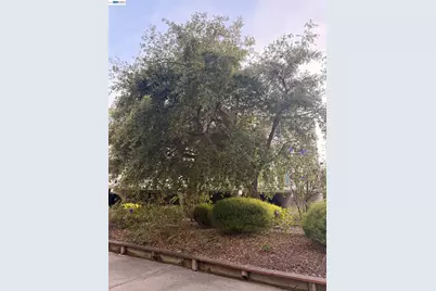 1510 E St #22, Hayward, CA 94541 - Photo 43