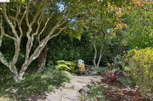5610 Snake Rd, Oakland, CA 94611 - Photo 51