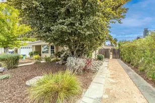 749 Orion Way, Livermore, CA 94550 - Photo 49