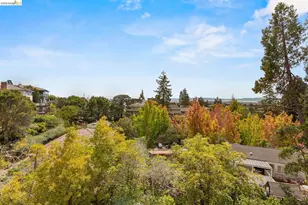 21 Selborne Dr, Piedmont, CA 94611 - Photo 81