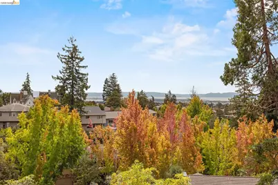 21 Selborne Drive, Piedmont, CA 94611 - Photo 85