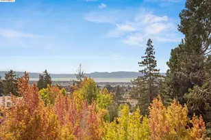 21 Selborne Dr, Piedmont, CA 94611 - Photo 3