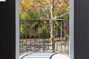 348 Jerome Ave, Piedmont, CA 94610 - Photo 45