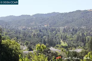 2877 Ptarmigan Dr, Walnut Creek, CA 94595 - Photo 39