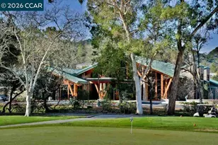 2877 Ptarmigan Dr, Walnut Creek, CA 94595 - Photo 93