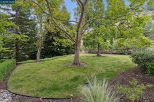 1349 Running Springs Rd, Walnut Creek, CA 94595 - Photo 3