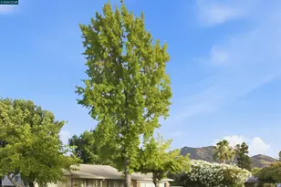 1412 Delaware Dr, Concord, CA 94521 - Photo 31
