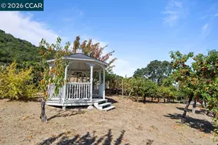 740 Clipper Hill Rd, Danville, CA 94526 - Photo 41