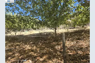 0 Garin Ave, Hayward, CA 94544 - Photo 5