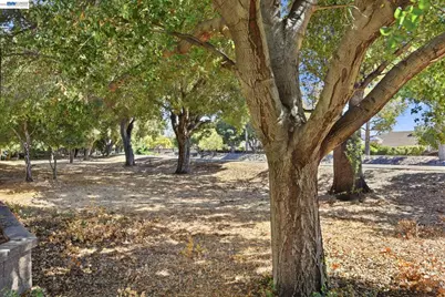 33483 Alvarado Niles Rd, Union City, CA 94587 - Photo 49