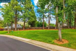 599 Mt Dell Dr, Clayton, CA 94517 - Photo 53