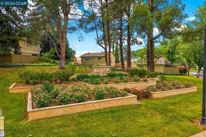 599 Mt Dell Dr, Clayton, CA 94517 - Photo 49