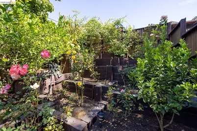 46 Senior Avenue, Berkeley, CA 94708 - Photo 21