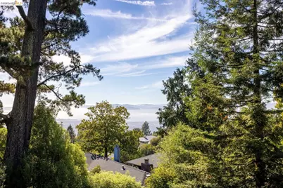 46 Senior Avenue, Berkeley, CA 94708 - Photo 45