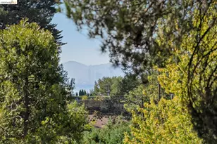 155 Avenida Dr, Berkeley, CA 94708 - Photo 23