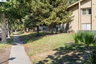 46908 Fernald Common, Fremont, CA 94539 - Photo 29