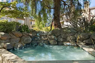 39199 Guardino Dr, Fremont, CA 94538 - Photo 29