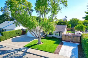 481 Egret Rd, Livermore, CA 94551 - Photo 39