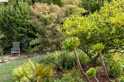 22 Kensington Ct, Kensington, CA 94707 - Photo 43
