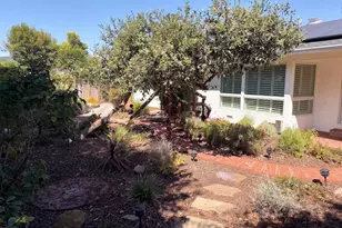 447 Via Del Plano, Novato, CA 94949 - Photo 5