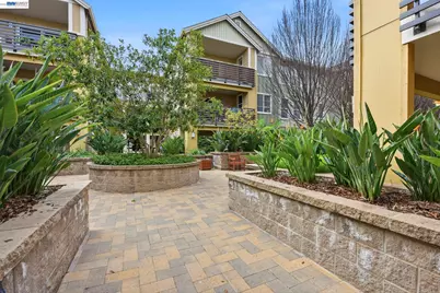 4463 Hyde Cmn #116, Fremont, CA 94538 - Photo 21
