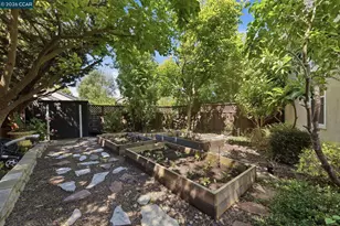 601 Ambience Way, Danville, CA 94506 - Photo 41