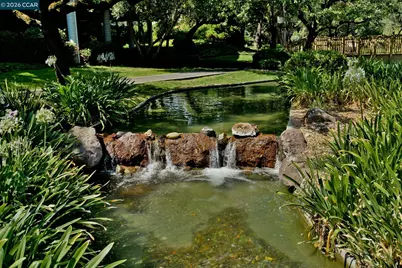 470 Civic Dr #505, Walnut Creek, CA 94596 - Photo 41
