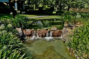 470 Civic Dr, Walnut Creek, CA 94596 - Photo 41