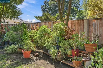 1211 Orange St, Concord, CA 94518 - Photo 23