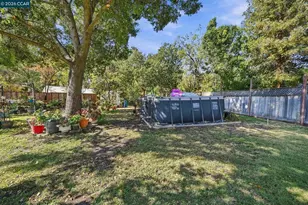1211 Orange St, Concord, CA 94518 - Photo 21