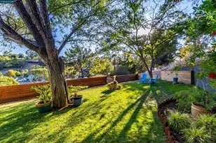 341 Paloma Ct, Martinez, CA 94553 - Photo 33