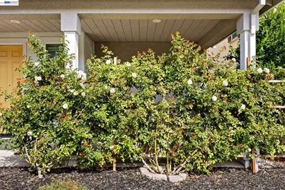 255 Bella Serata Ave, Mountain House, CA 95391 - Photo 45