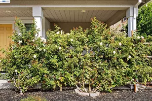 255 Bella Serata Ave, Mountain House, CA 95391 - Photo 45