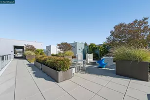 1954 Trinity Ave, Walnut Creek, CA 94596 - Photo 61