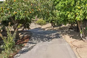 836 Navaronne Way, Concord, CA 94518 - Photo 69