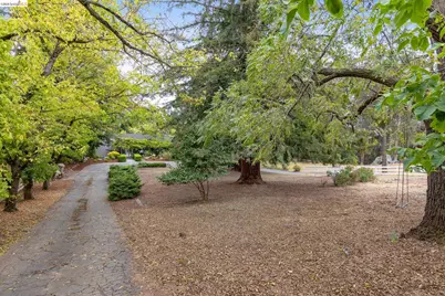 4310 Turner Ave, Oakland, CA 94605 - Photo 41