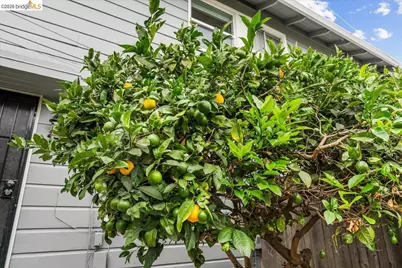 1802 Second #M, Alameda, CA 94501 - Photo 23