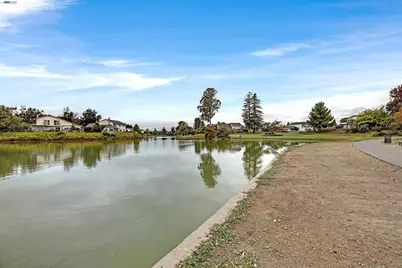 4980 Stafford Pl, Newark, CA 94560 - Photo 25