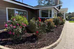 116 Coral Dr, Orinda, CA 94563 - Photo 67
