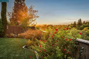 220 Dove Creek Ln, Danville, CA 94506 - Photo 39