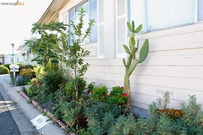 4141 Deep Creek Rd #111, Fremont, CA 94555 - Photo 13