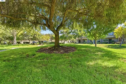 3349 Solomon Lane, Alameda, CA 94502 - Photo 29