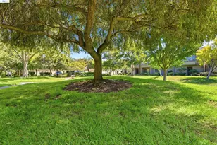 3349 Solomon Ln, Alameda, CA 94502 - Photo 29