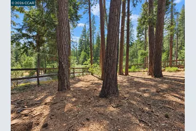 2346 Black Oak Dr, Arnold, CA 95223 - Photo 31