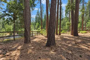 2346 Black Oak Dr, Arnold, CA 95223 - Photo 31