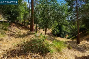 34 La Campana Rd, Orinda, CA 94563 - Photo 25