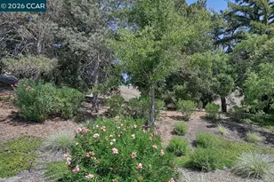3674 Rossmoor Pkwy, Walnut Creek, CA 94595 - Photo 59