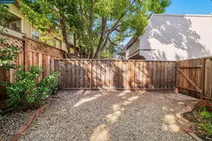 830 Podva Rd, Danville, CA 94526 - Photo 5