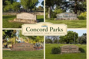 1316 Pineview Ln, Concord, CA 94521 - Photo 53